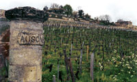 Château Ausone