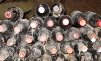 Dirty Wine Cellar