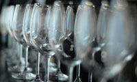 Wine Glasses